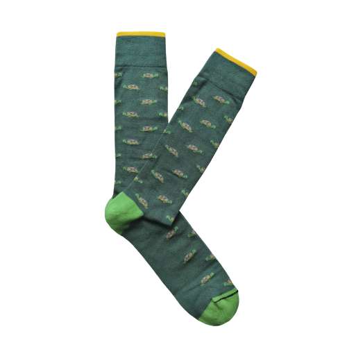 Verdes Tortugas