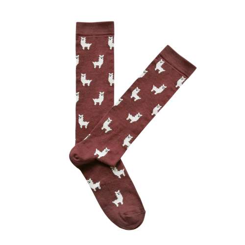 Vinotinto Llamas