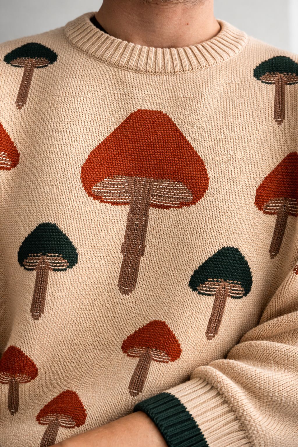 Camel Hongos - Imagen 3